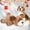 brown, variant on FULED Heartbeat Plush Puppy Toy, Squeaky Sleep Aid for Crate Training