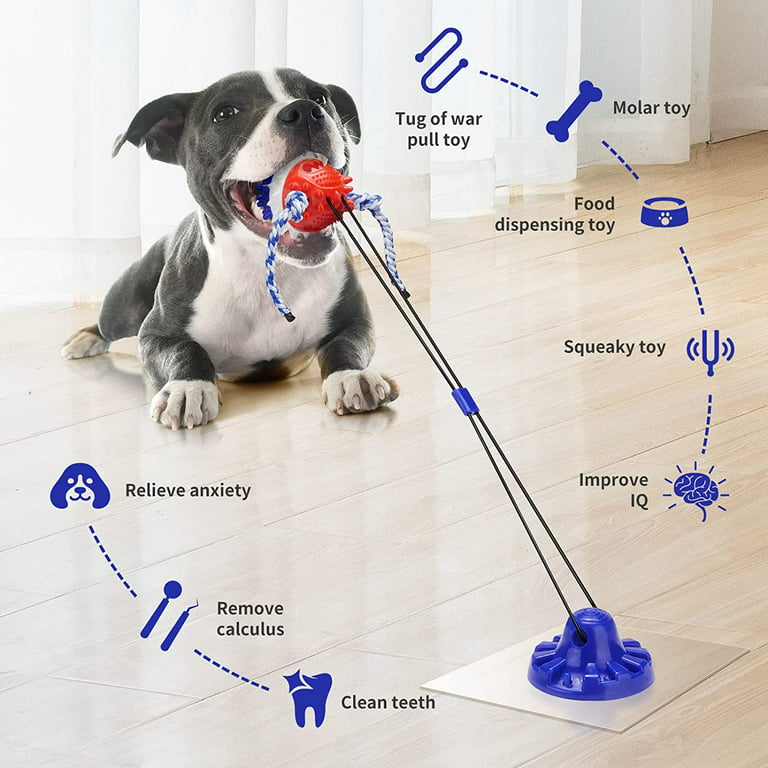 KASTWAVE Large Breed Suction Cup, Dog Toy for Dog, Tug Toy Interactive Dog  Toys, Indestructible Dog Puzzle Toys, Tested By Labrador, Golden Retriever,  More Small Medium 1 PSC price in Saudi Arabia