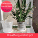 thumbnail image 1 of Maceta de control de raíces especial para Phalaenopsis, Dendrobium officinale, cuenca de tierra, planta verde, cuenca de escritorio, flor simple, cuenca transpirable., 1 of 2