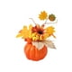 thumbnail image 2 of Kit de manualidades para hacer un adorno de calabaza de Halloween con hojas de otoño y piñas | Decoración navideña hecha a mano para la escuela, el bar y el hogar | Accesorios de decoración para, 2 of 6