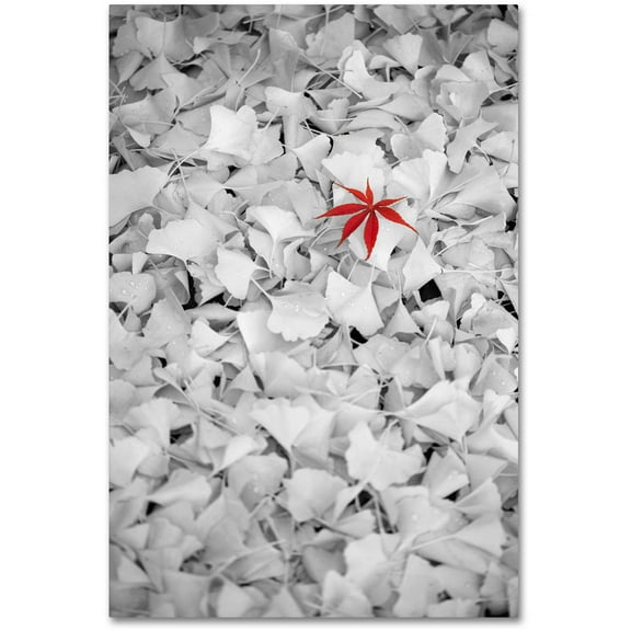 Trademark Fine Art "Rebel Leaf" Canvas Art by Philippe Sainte-Laudy