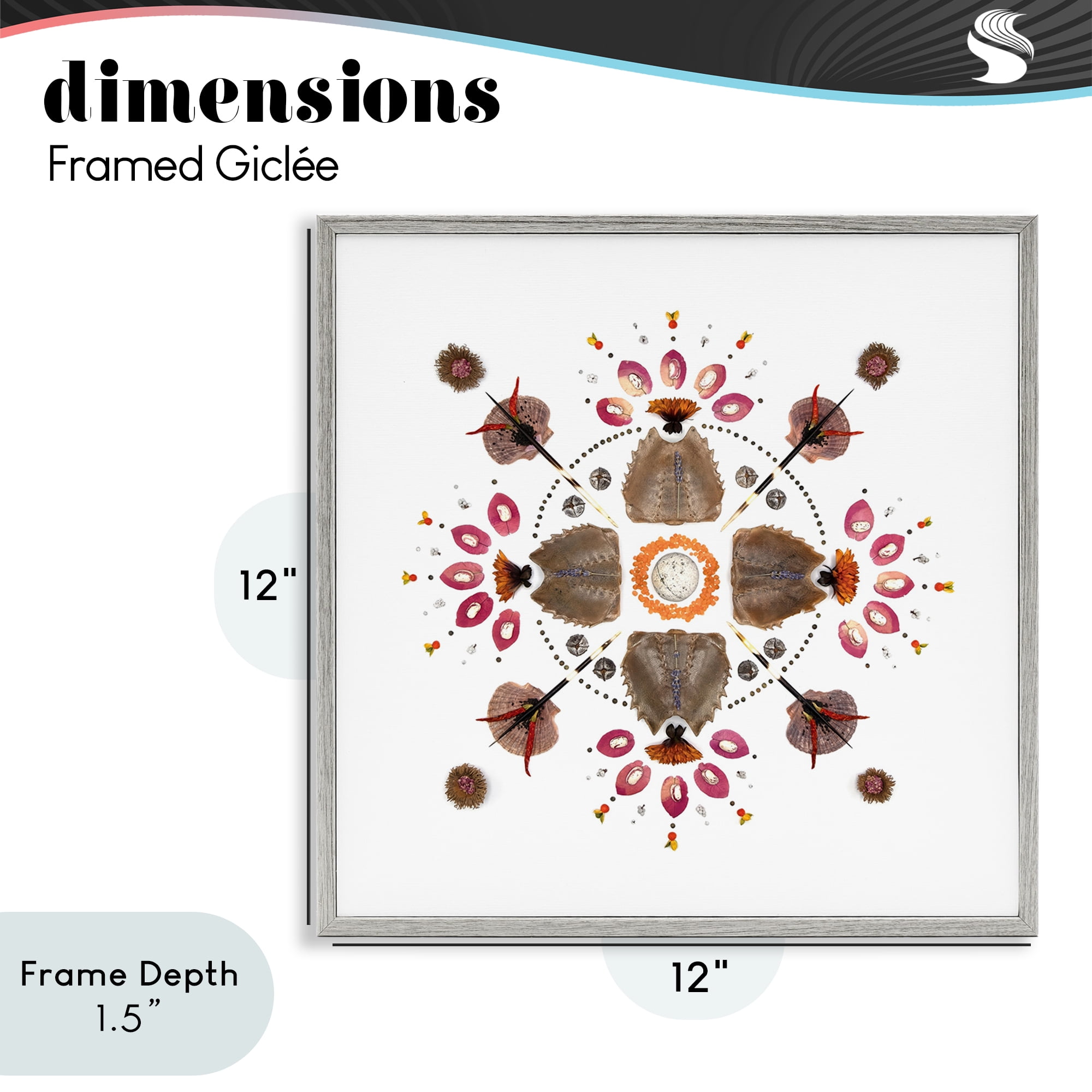 Stupell Industries Symmetrical Nautical Collection Gray Framed Giclee Art, design by Beth Adoette