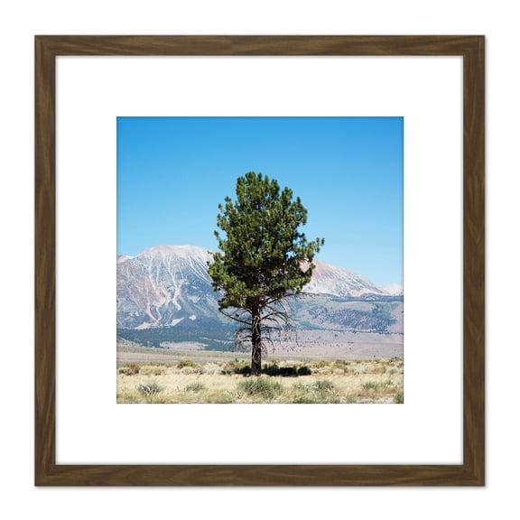 Highsmith Lone Tree Yosemite Landscape Photo 8X8 Inch Square Wooden Framed Wall Art Print Picture with Mount