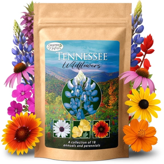 Tennessee Wildflower Seed Mix, 18 Flower Varieties, 35,000 Seeds - Created By Nature
