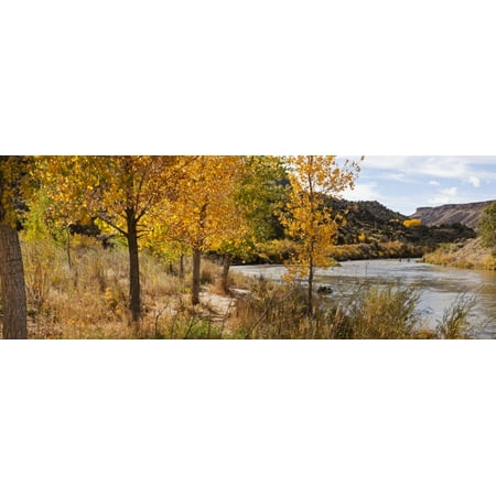 People fishing in the Rio Grande River Orilla Verde Recreation Area Pilar Taos Taos County New Mexico USA Poster