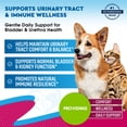 thumbnail image 4 of Beloved Pets Urinary Tract Support - Cranberry & D-Mannose Liquid Drops for Dogs & Cats , Kidney & Bladder Health Support for All Breeds, 4 of 9