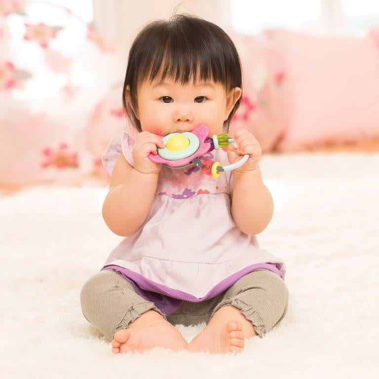 infantino spin and teethe