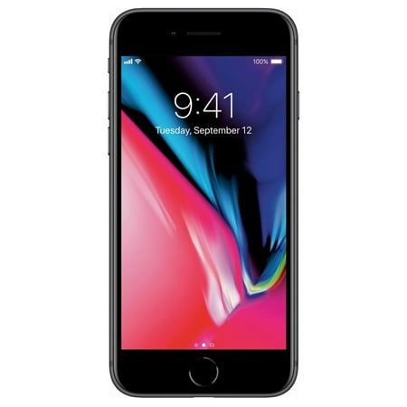 Apple iPhone 8 64GB Unlocked GSM Phone - Space Gray (Fair Cosmetics, Fully Functional) + LiquidNano Screen Protector