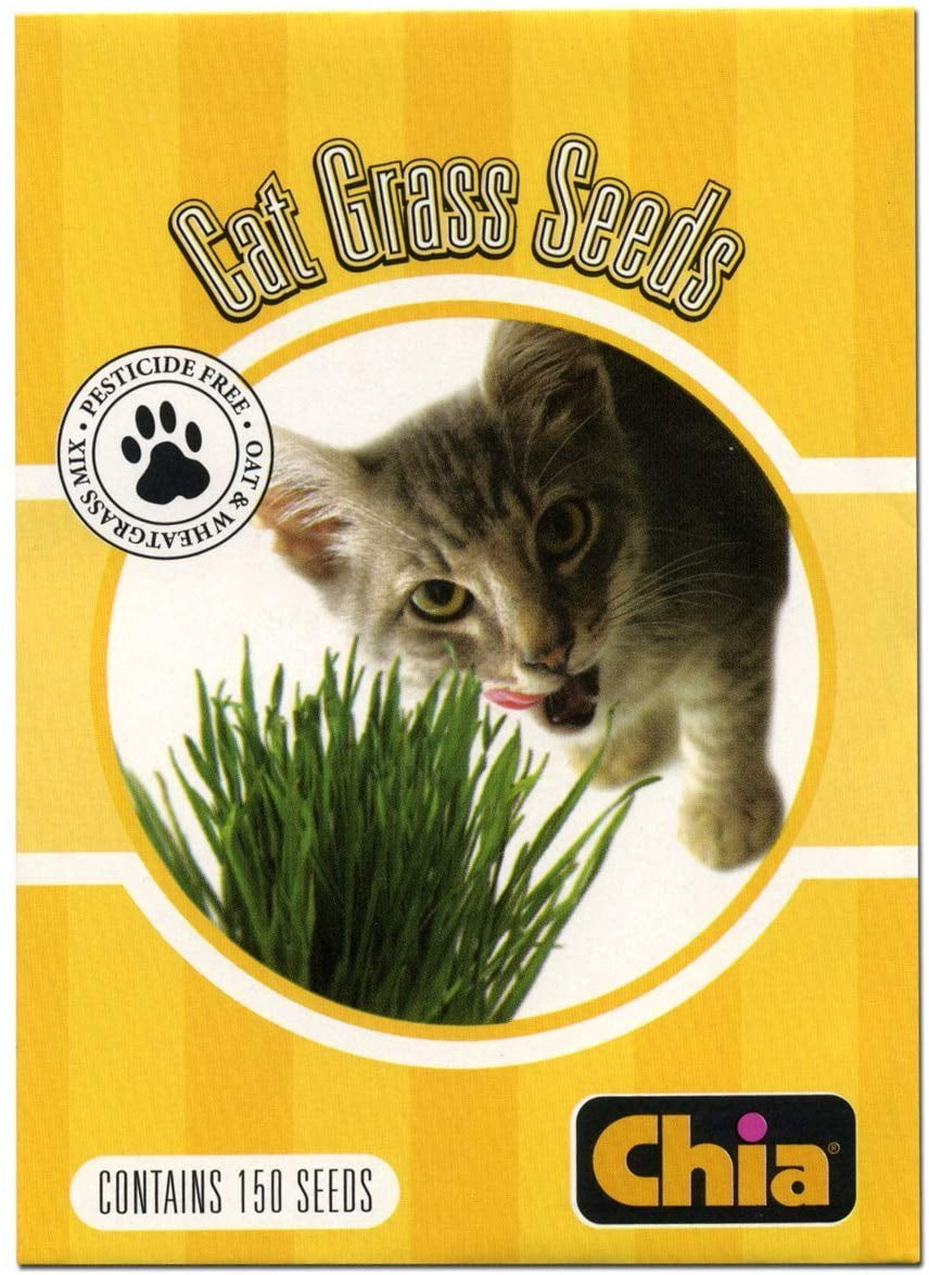 Chia Pet Planter Cat Grass Seeds Chia Pet Planter Cat Grass Seeds