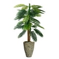 thumbnail image 1 of 67.5 in. Palm Faux Tree, 1 of 1
