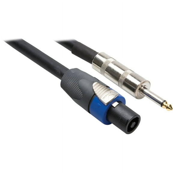 Hosa SKT-410Q Pro Speaker Cable REAN Loudspeaker to 1/4 in TS 10 ft