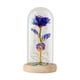 thumbnail image 1 of Xihbxyly Ventas Compras En Línea Rosa de Cristal Romántico y Luz Led para Decoración de Bodas, Regalo de San Valentín, 1 of 2