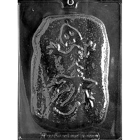 Fossil Candy - Grandmama's Goodies K122 Dinosaur Fossil Chocolate Candy Soap Mold with Exclusive Molding Instructions
