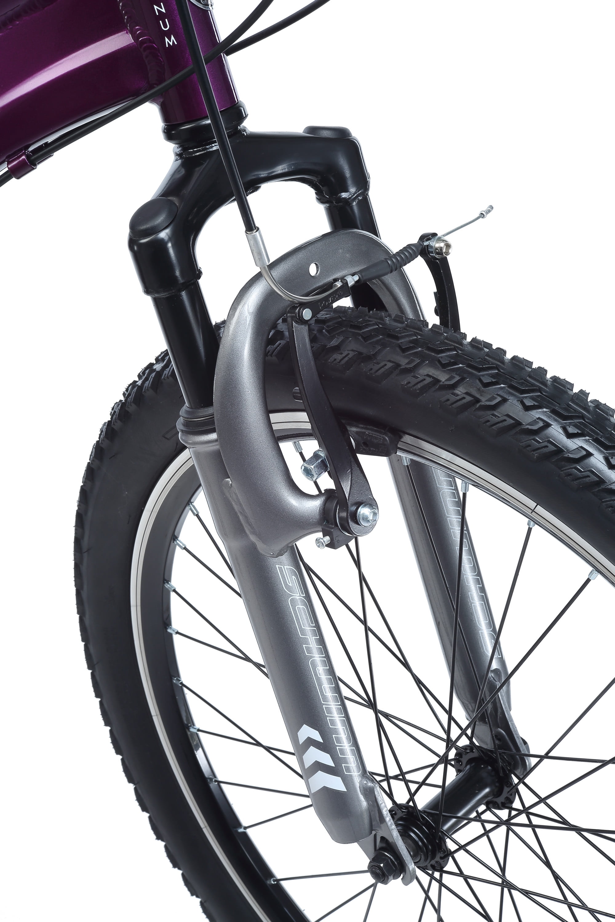 schwinn sidewinder women's purple