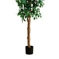 thumbnail image 7 of Nearly Natural 8' Ficus Artificial Tree, 7 of 7