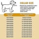 thumbnail image 2 of Heavy Duty Dog Choke Collar Slip Chain Snake Collar Anti-Rust Training Collar for Small & Large Dogs Black/Gold, 2 of 4