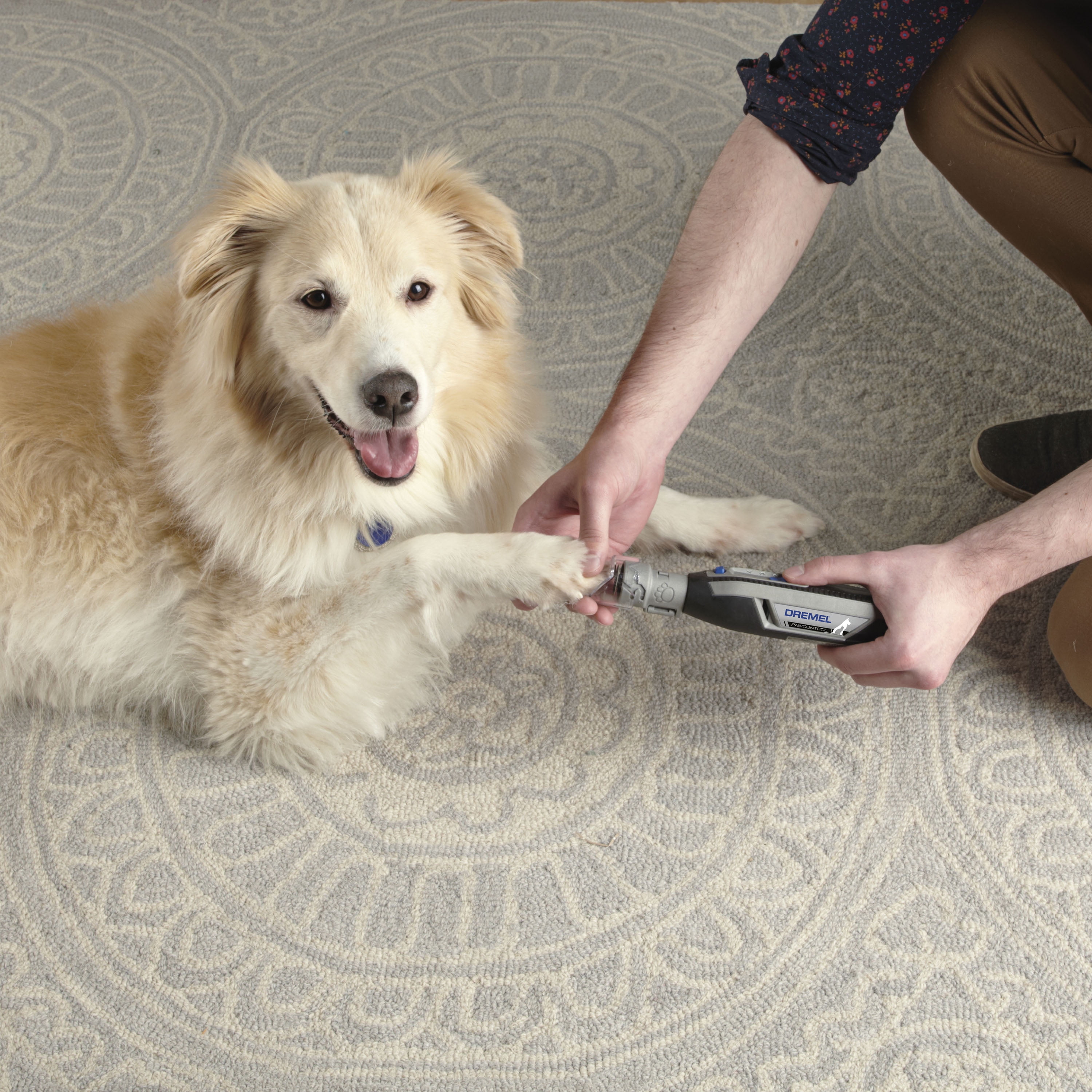Dremel 7760 PGK Cordless Pet Nail Grooming Kit Bahrain Ubuy