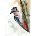 thumbnail image 3 of Shefranov, Olga 14x18 Black Modern Framed Museum Art Print Titled - Woodpecker, 3 of 5