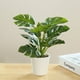 thumbnail image 5 of Bonsái de planta simulada BuyWeek decorativa realista en maceta, 5 of 5