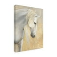 thumbnail image 2 of Trademark Fine Art 'Calm White Horses' Canvas Art by Albena Hristova, 2 of 3