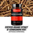 thumbnail image 4 of PhiNaturals Ashwagandha Root Extract 4:1 in Vegan Capsules, 500 mg per Capsule, 90 Capsules, 4 of 8