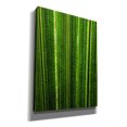 thumbnail image 2 of Epic Graffiti 'The Great Green Wall' by Epic Portfolio Giclee Canvas Wall Art, 40"x54", 2 of 8