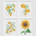 thumbnail image 3 of PixonSign Framed Summer Lemon Fruit Sunflower Plants Wall Art, Set of 4 Nature Wildeflowers Wall Decor Prints, Botanical Floral Wall Décor, Landscape Canvas Poster for Home - 8"x10" White, 3 of 5
