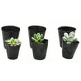 thumbnail image 4 of 50/100pcs Plastic Seedlings Starter Pot Plants Nursery Pots for Germination Seedling, 4 of 7