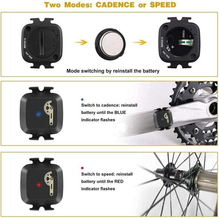 Speed cadence sensor for hot sale zwift