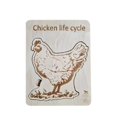 thumbnail image 1 of Wooden Animal Life Cycle Puzzle Toy Growth Tray Desktop Ornament, 1 of 2