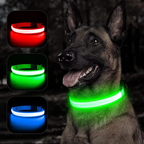 Reflective LED Dog Collar - Light Up Dog Collars for Safe Walking at Night - Super Bright Lighted Puppy Collar - Rechargeable for Dogs (Neon Green,X-Large)