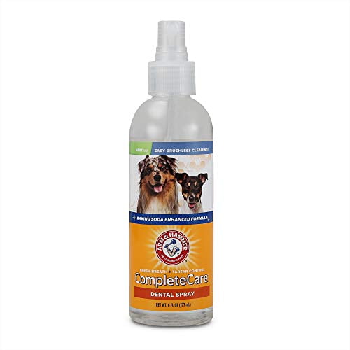 Arm & Hammer CompleteCare™ Dog Dental Spray in Mint Flavor 6 fl oz