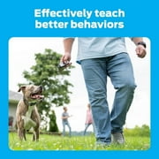 Premier Pet 1000 foot Dog Trainer with Rechargeable Battery, 16 levels of static correction