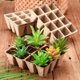 thumbnail image 5 of Xiao Hua 20 macetas para germinación de semillas, bandejas para plantas de semillero, de 16,5 x 12,7 x 4,5 cm, para verduras y hierbas., 5 of 5