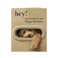 thumbnail image 1 of Interesting Dog Birthday Card: Pet Theme Birthday Greeting Card, 1 of 9