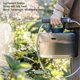 thumbnail image 4 of Pulverizador A Batería De 1,32 Galones, Pulverizador De Jardín Con Mango Recargable USB Y Varilla Telescópica, Pulverizador Eléctrico De Agua Con Correa Para El Hombro Para, 4 of 7