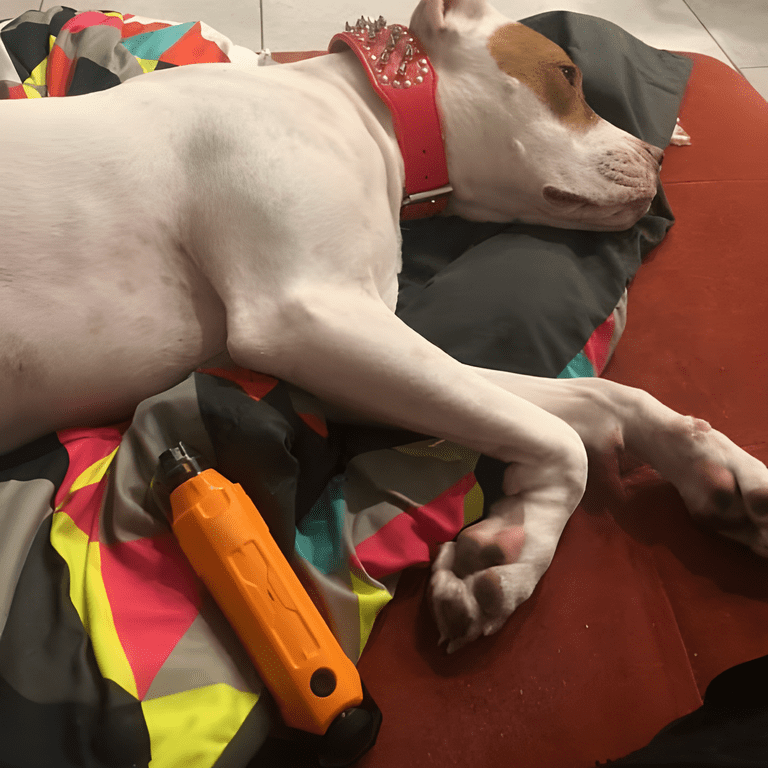 ComfiTime 6-Speed Dog Nail Grinder with LED Lights photo 7