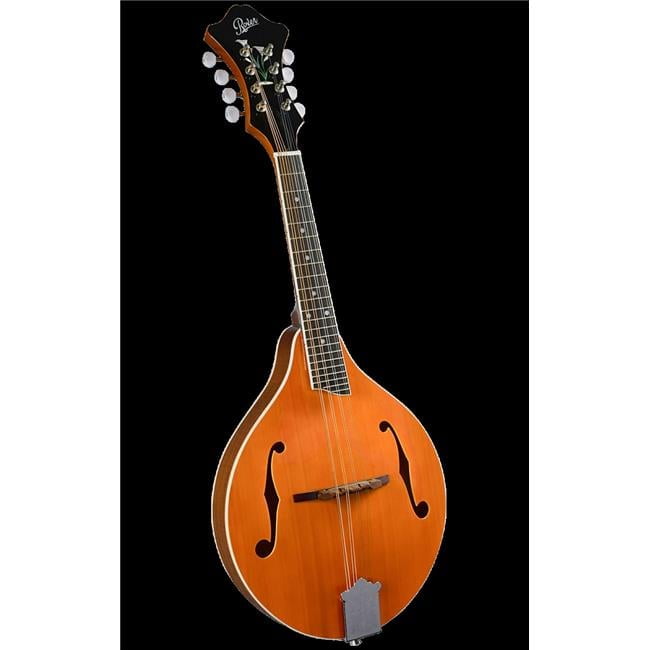 Rover RM-70 Student A-Model Mandolin - High Gloss Sunburst