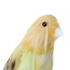 thumbnail image 5 of Adornos de pajaritos artificiales 5 '' Taxidermia Árbol # 11 Gloria Pájaros de la pluma, 5 of 7
