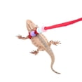 thumbnail image 1 of Lizard Traction Rope, Adjustable Reptile Leash Comfortable and Durable Nylon Material Reptile Harness Leash for Small Animal Outdoor Walks and Training, 1 of 8