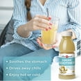 thumbnail image 3 of The Ginger People Ginger Soother with Lemon and Honey, 12 Fl Oz (Pack of 24), 3 of 5