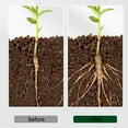 thumbnail image 5 of SATRINO Garden Rich Root & Grow Root Stimulator & Plant Starter, Concentrate 4-10-3 Fertilizer for Transplanting, 5 of 8