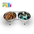 thumbnail image 3 of Plato para Perro Fancy Pets Acero Inoxidable Doble 32 oz, 3 of 3