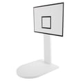 thumbnail image 1 of Phenofice Basketball Stands Desktop Sundries Stand PVC Multi-functional 1Pack, 1 of 8