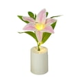 thumbnail image 2 of Fiudx Chariot Enrouleur de Tuyau de Jardin Réglable Support de Tuyau d'Arrosage / Ranger et Protéger le Tuyau Extérieur / Cadre en Acier Durable pour Pelouse, Plantes et Outils Extérieurs, 2 of 6