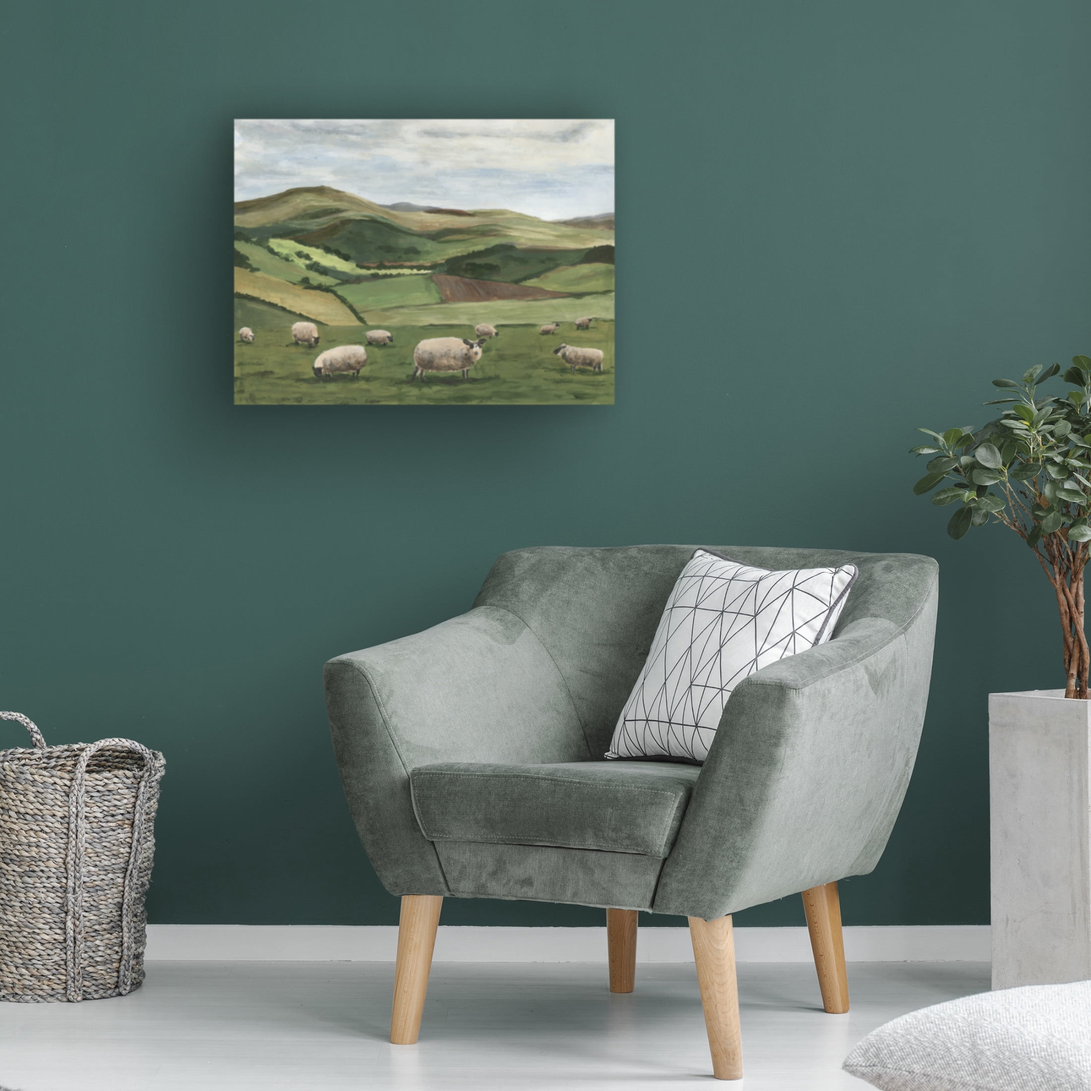 Trademark Fine Art Michael Willett  Highland Sheep II Canvas Wall Art