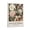 Frame-style, variant on William Morris Print Painting (69) Canvas Poster Wall Art Picture Prints Hanging Photo Gift Decor Home Posters Artworks 16x24inch(40x60cm)
