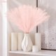thumbnail image 4 of Decoración de césped artificial de pampa rosa obbsie, 50 unidades, para el hogar, 4 of 7