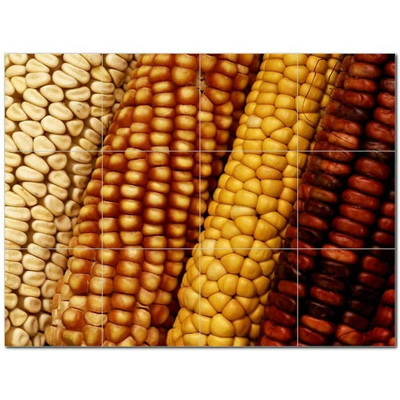 Food Usda Ceramic Tile Mural Kitchen Backsplash Bathroom Shower 405162-XL43