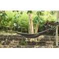 thumbnail image 3 of Parachute Expedition Hammock - Double - Olive - Green, 3 of 5